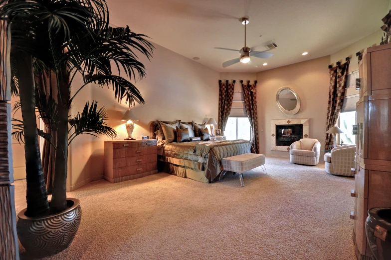 a big spacious bedroom has a tv, sofa and palm tree