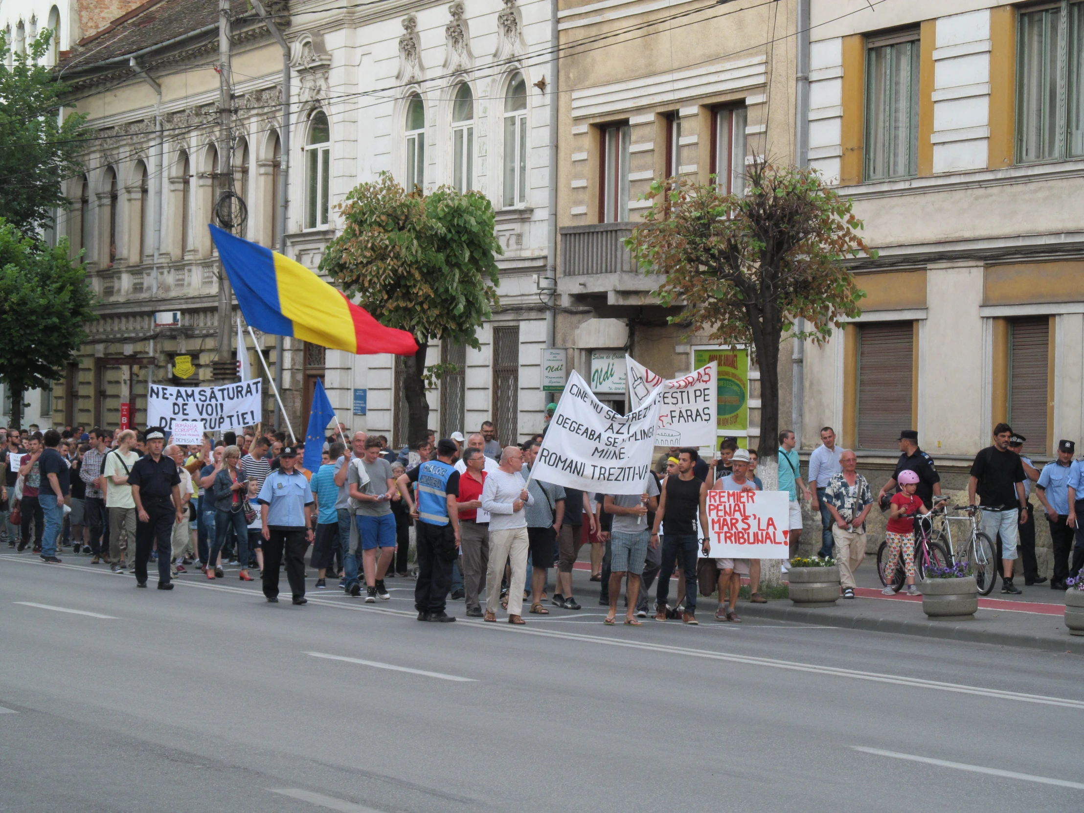 a large group of people are holding flags and signs