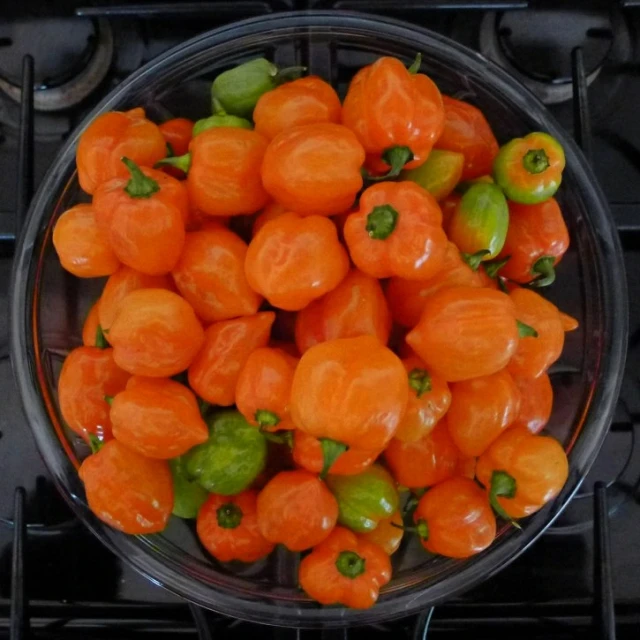 orange peppers in a glass bowl are displayed on the stove