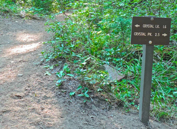 a sign is posted next to a bush