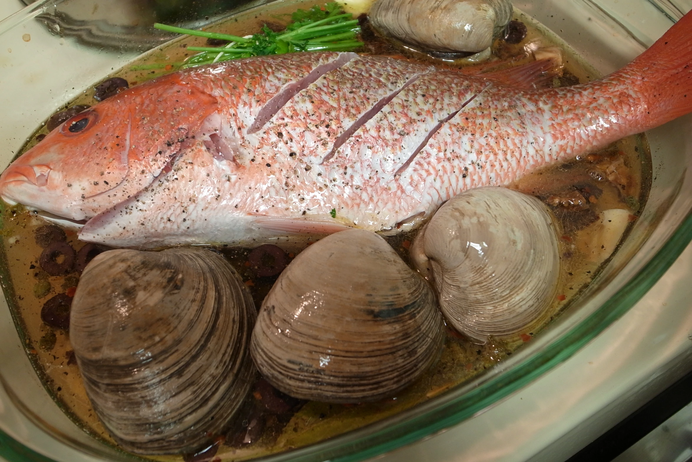 a fish sitting in a dish with clams around it