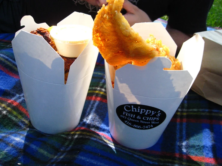 two different takeout food items being served on a picnic blanket