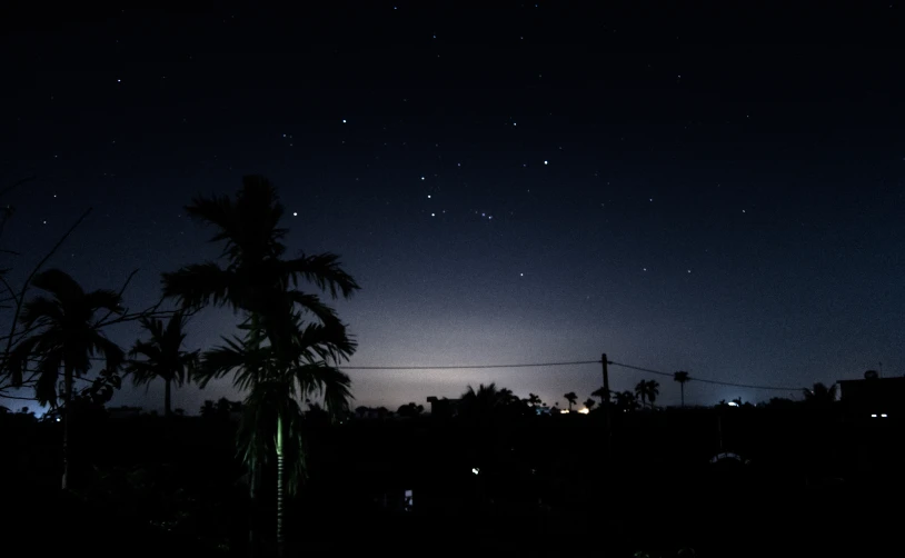 the night sky with small stars, near the trees