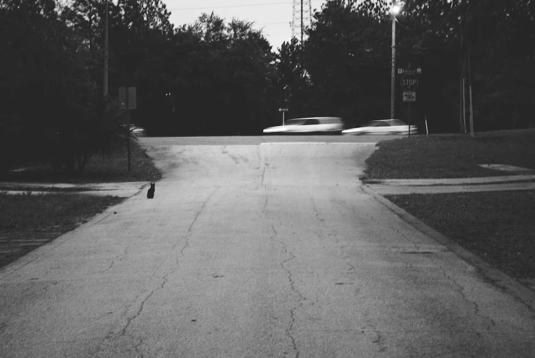 two skateboarders ride down a street during a gloomy day