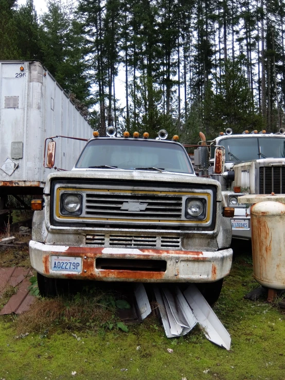 two old dump trucks parked on some grass