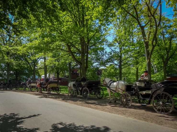 a street lined with horse drawn carriages