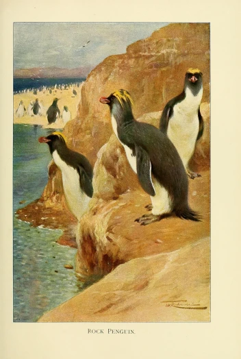 three penguins and another animal are standing near a water