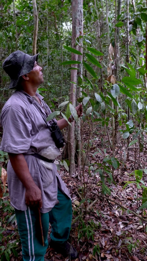 a man stands in the middle of a forest holding a stick