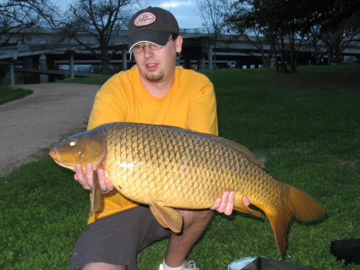 a man in a yellow shirt is holding a large fish