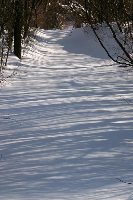 trees and snow are in the foreground on the slope