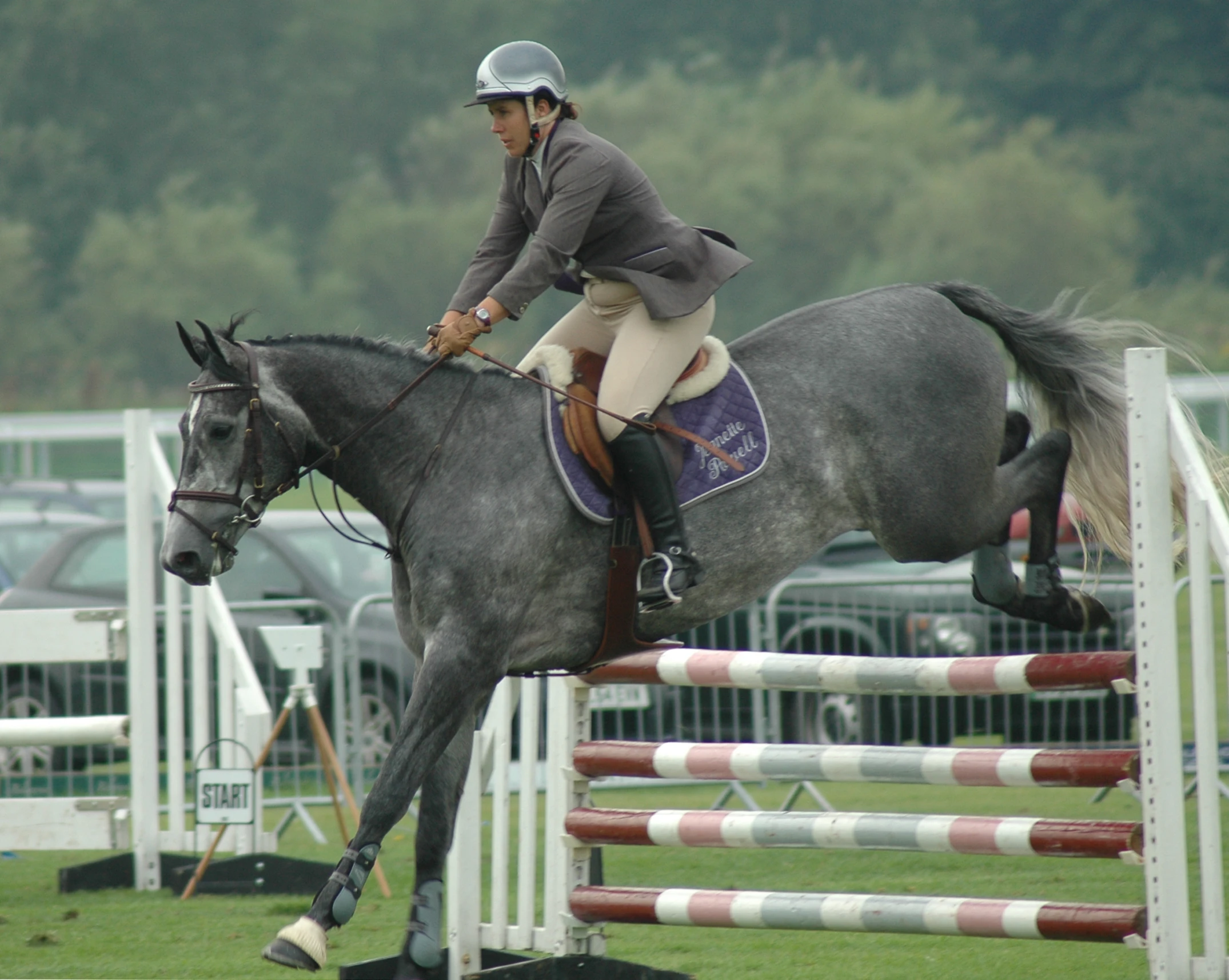 a horse and rider jumping over an obstacle