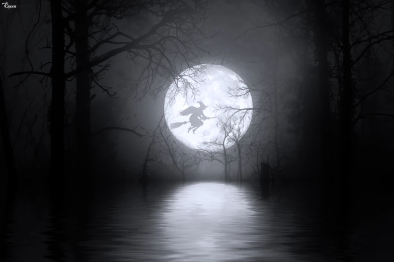 the moon and trees reflected in the water at night