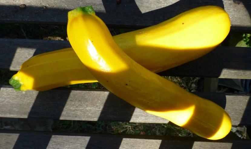 three bunches of bananas sitting on a wooden bench