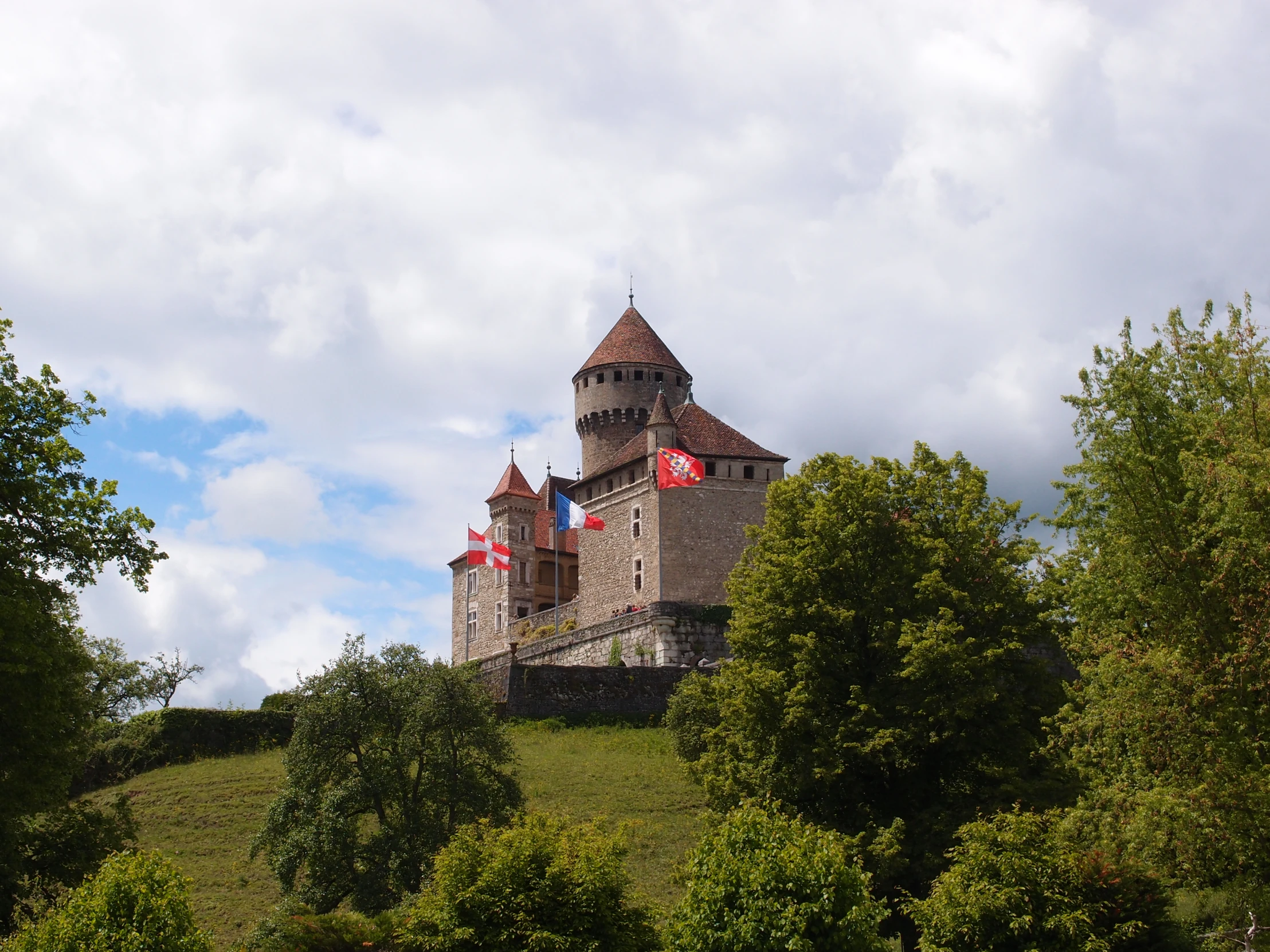 a castle on top of a green hill