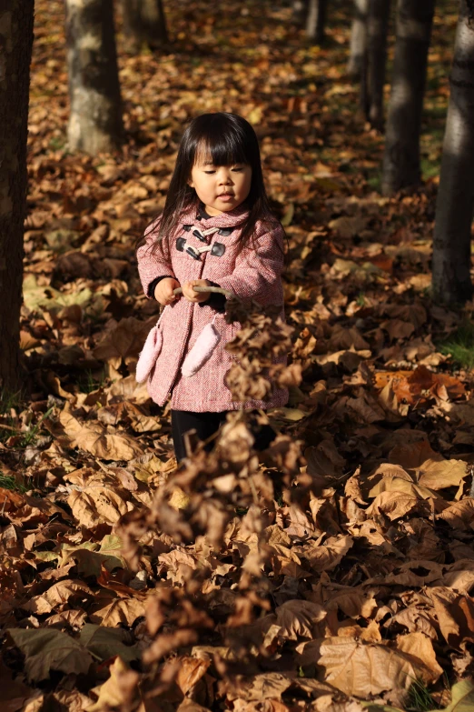 a little girl standing on leaves in the woods