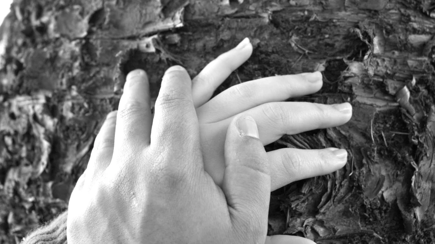 black and white pograph of two hands touching each other