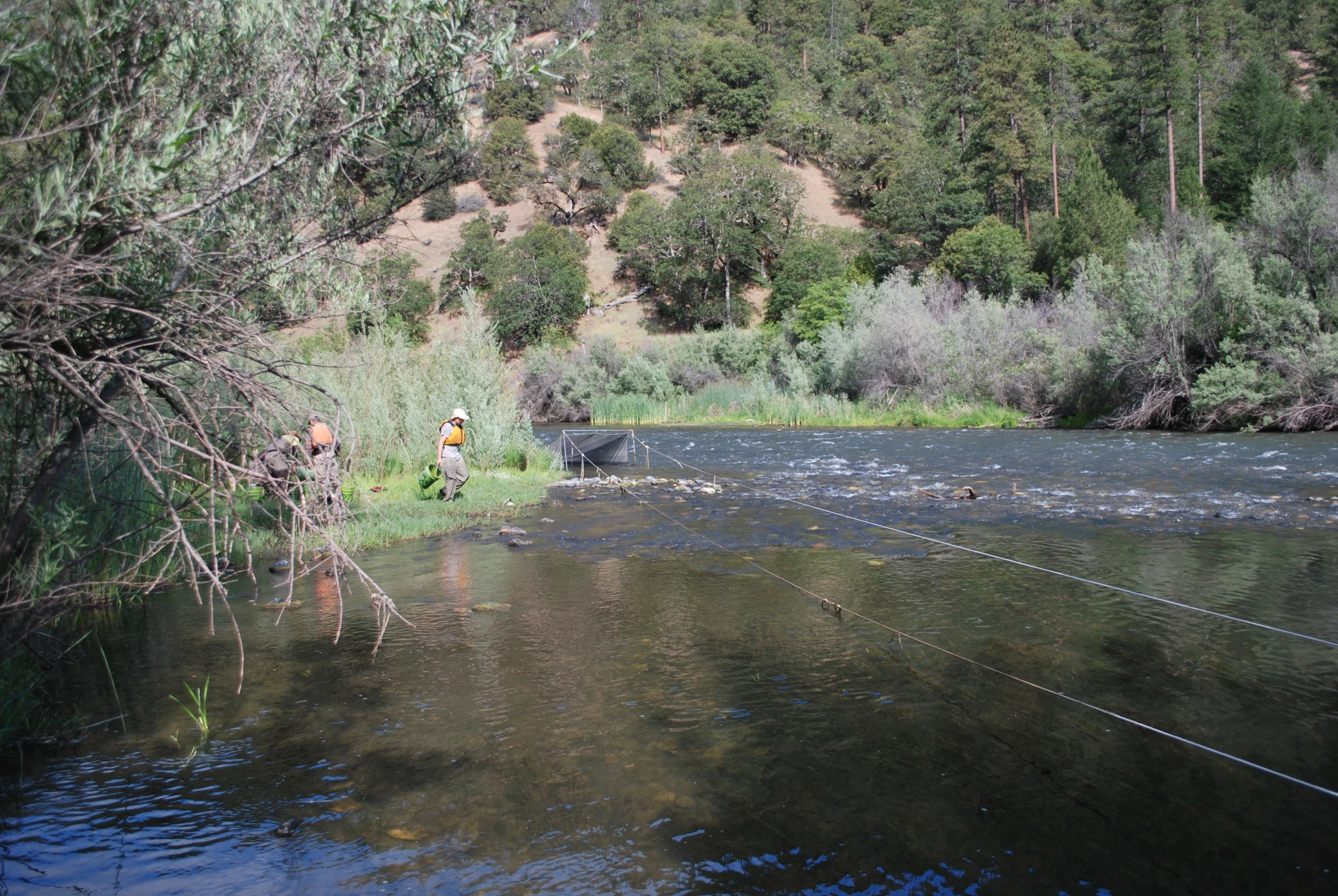 the person is fishing in the middle of the river