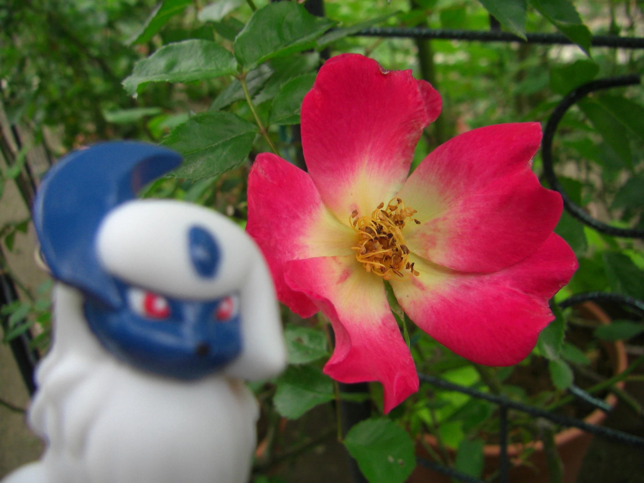 a toy figure with a pink rose behind it