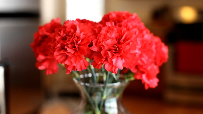 some red flowers in a clear glass vase