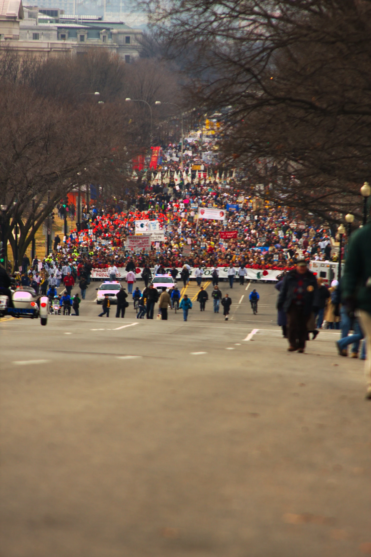 crowds walking in a large park during a political event