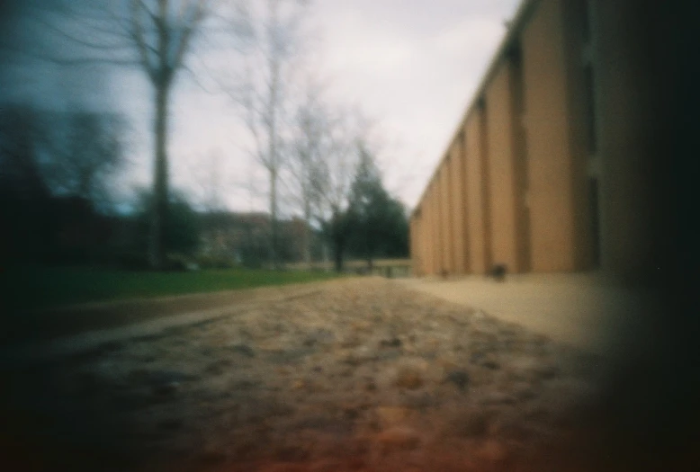 the blurry pograph of a small dog walking down the street
