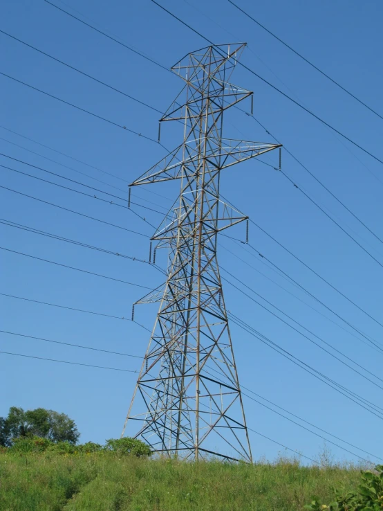 the sky is blue and there are many wires in the field