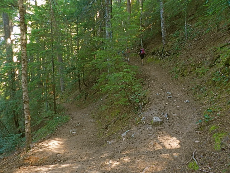 a man with a backpack walking on a trail