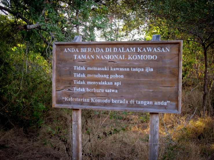 a sign in the middle of the forest that explains different languages