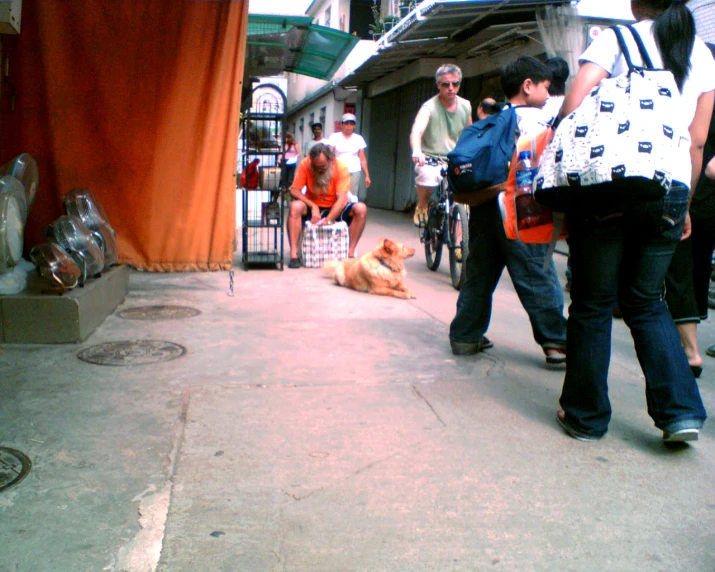 a group of people that are standing around a dog