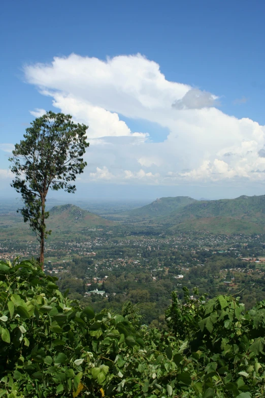 a view of a valley, green trees and clouds