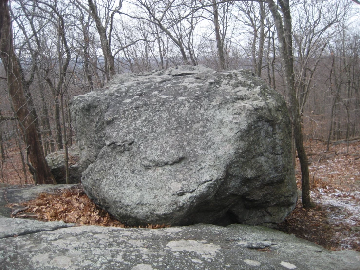 a big rock sitting by a forest covered in snow