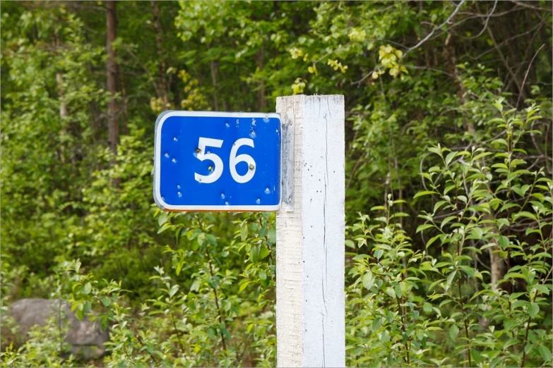 a blue street sign mounted on a white post