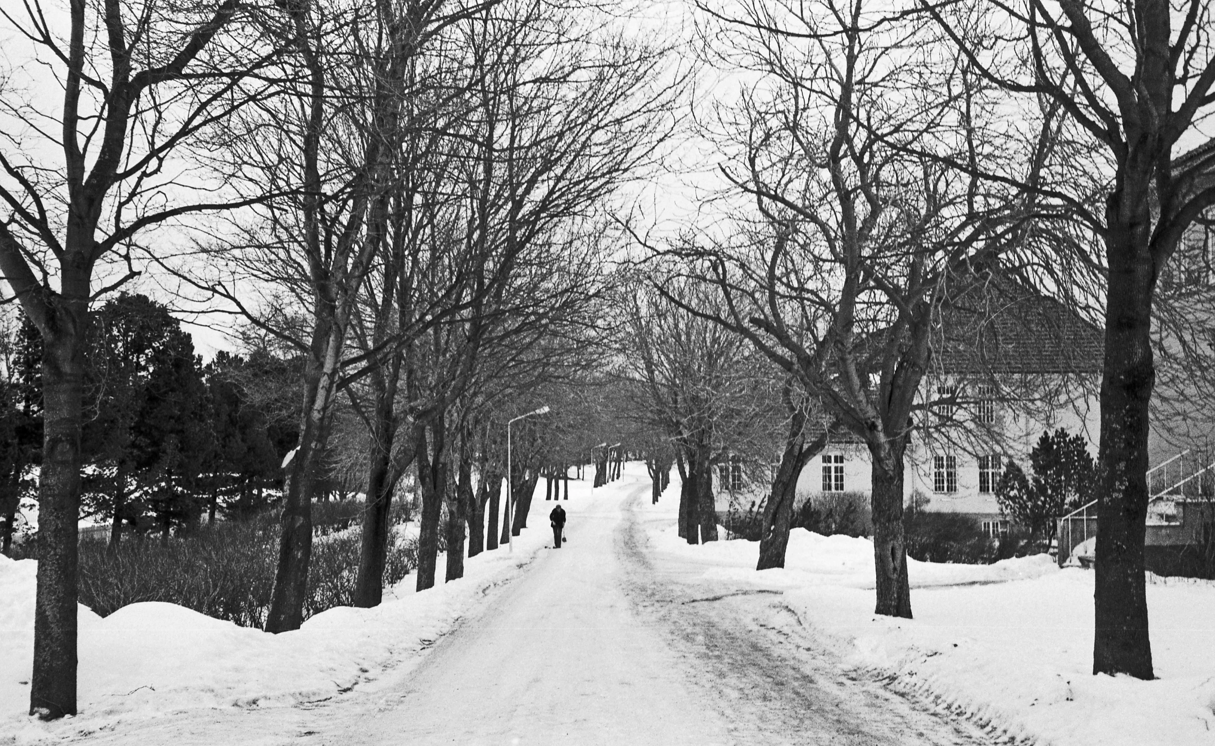 an empty street is covered in deep snow