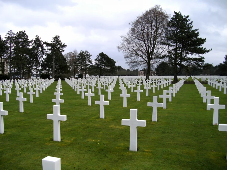 a long row of white crosses sitting on top of a grass covered field