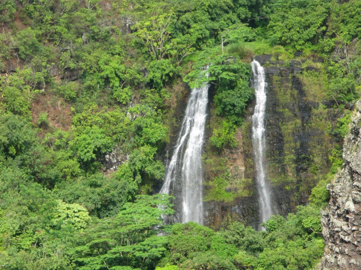 the waterfall was near many places of the forest