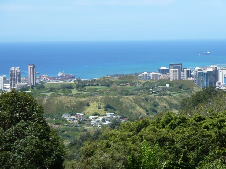 a cityscape overlooks a body of water and distant trees