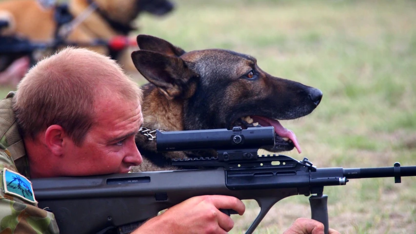 a military man and his dog in the grass holding a machine gun