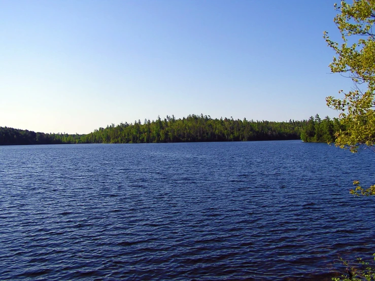 there are trees and water on the far side