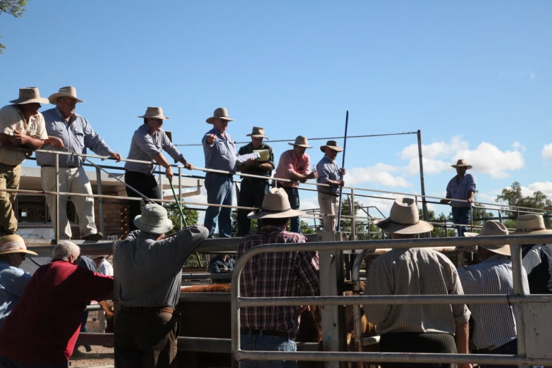 men dressed in cowboy hats standing on top of a metal barrier