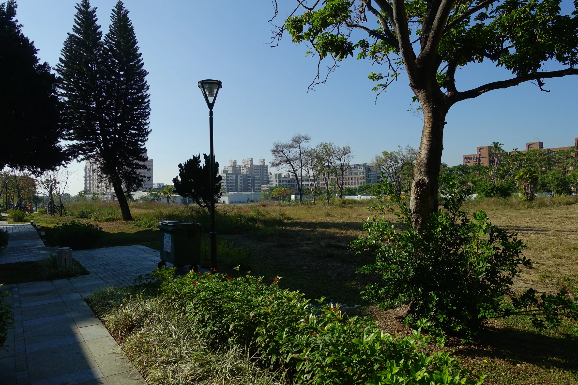 a park with two large trees and several other large buildings in the distance