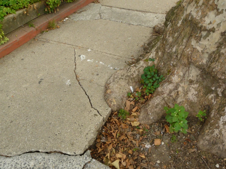the sidewalk of a street that has been torn down