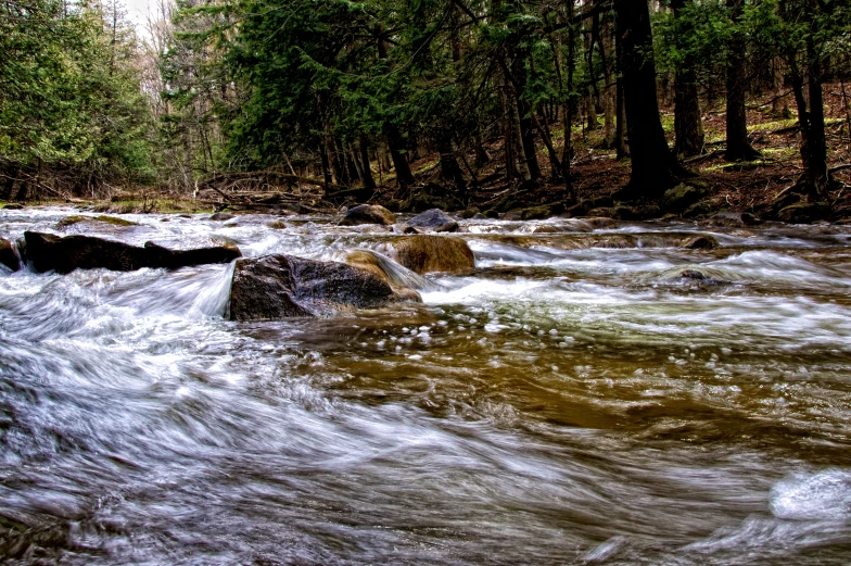 a stream near some rocks in the woods