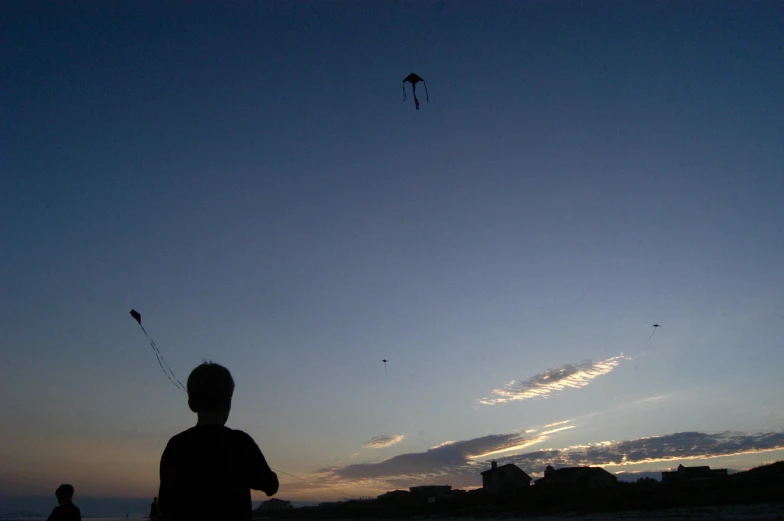 a person flying a kite on a beach