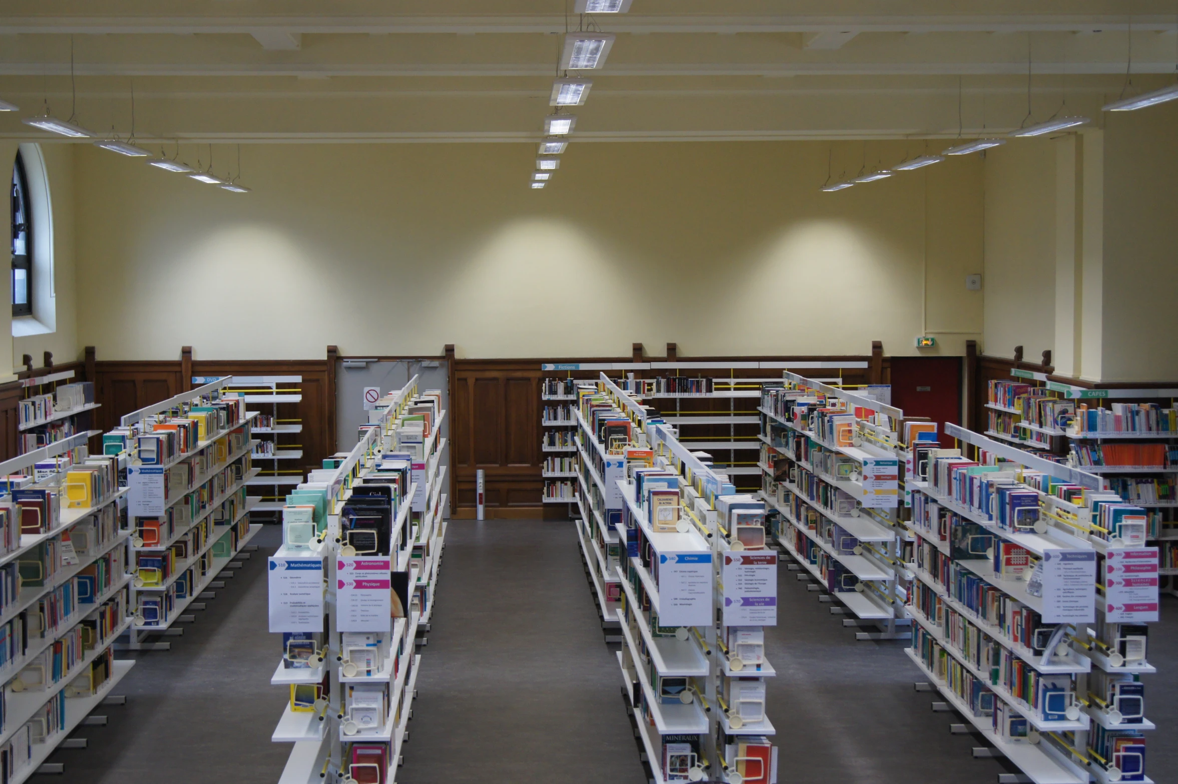 an aisle with many rows of books on the shelves