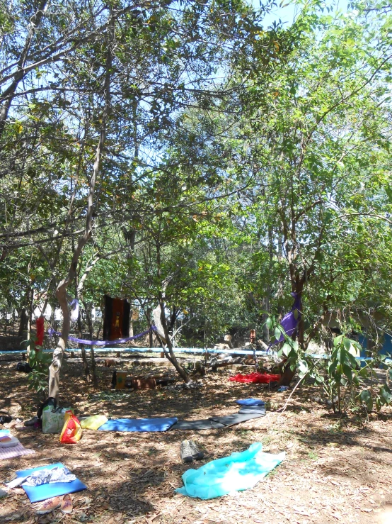 there are several sleeping bags and blanketed tables in the middle of the woods