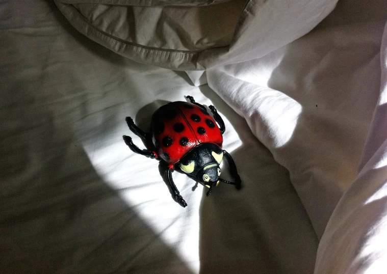 a lady bug sitting on top of a white sheet