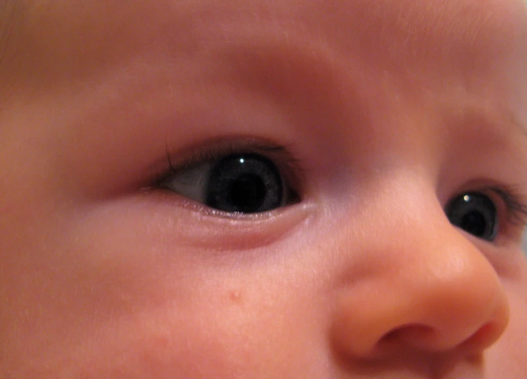 a close - up image of a baby's blue eye