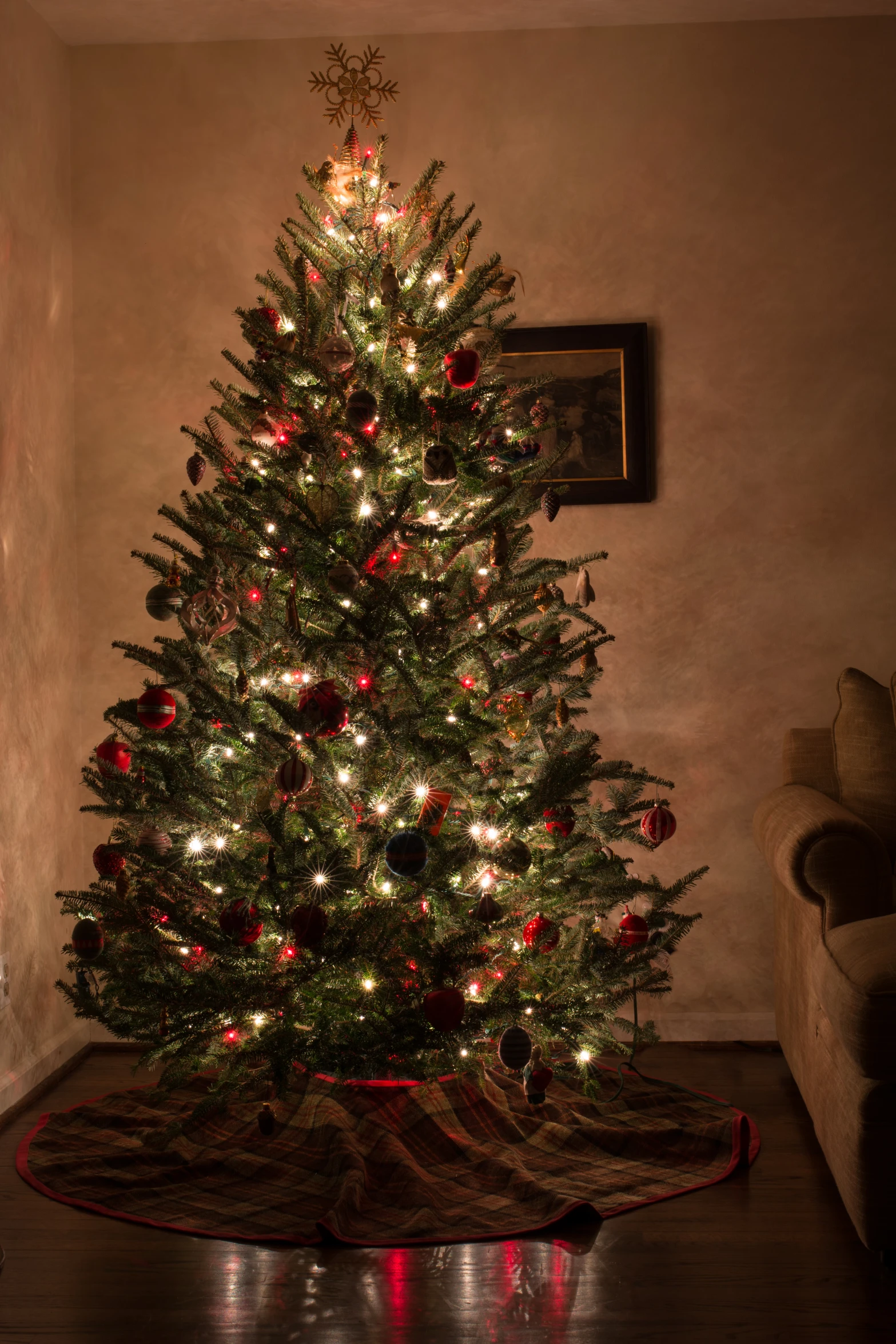 a christmas tree with a star lit up in the center