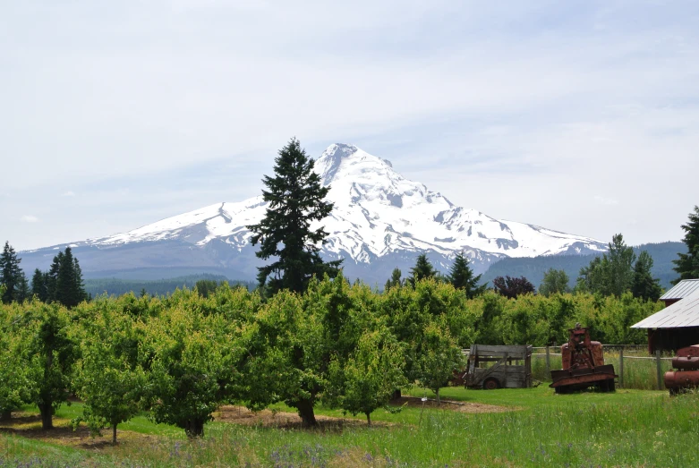 a large snow capped mountain is in the distance