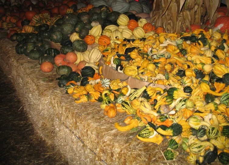 a variety of fruits and vegetables are on display